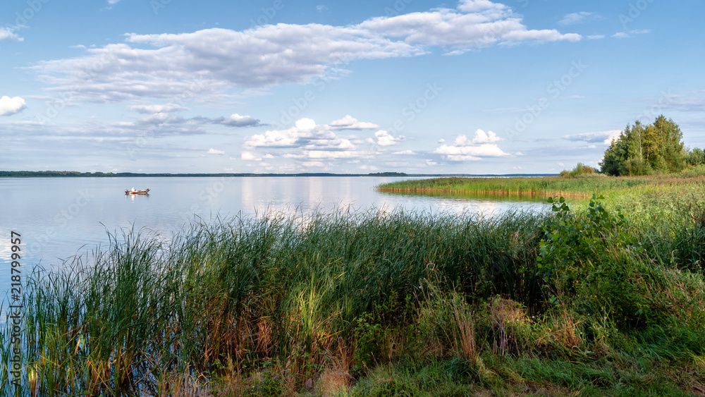 Działka rolno-budowlana Siemianówka Prorez. Zdjęcie 2