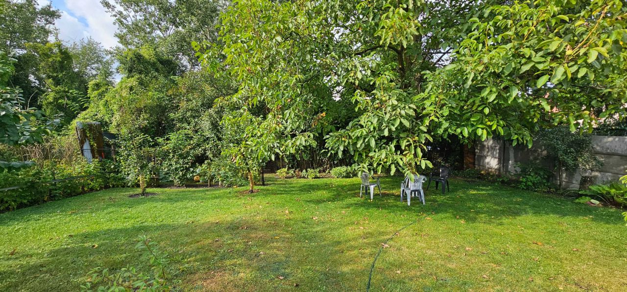 kamienica Kcynia. Zdjęcie 6