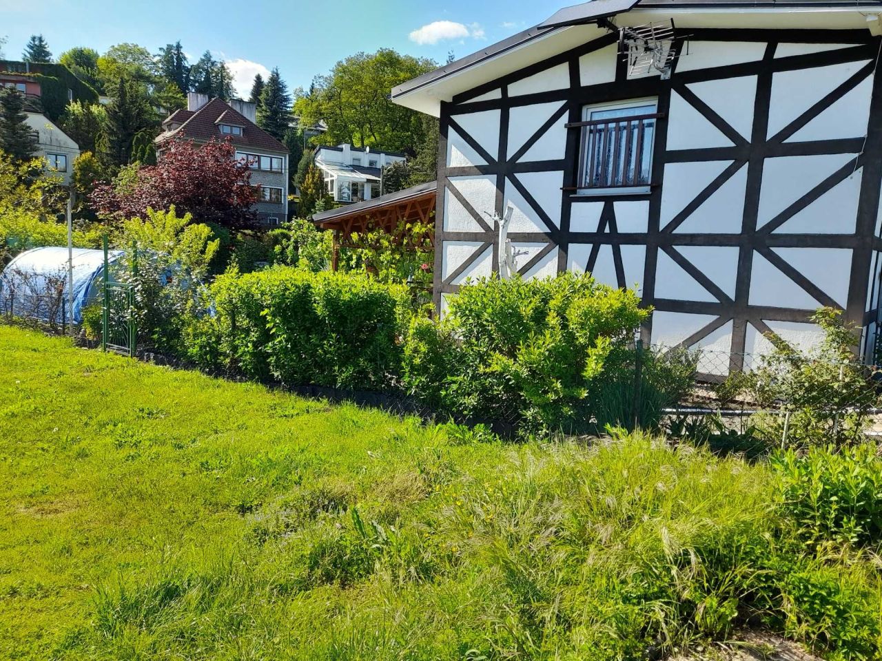 Działka rod Gorzów Wielkopolski, ul. Błotna. Zdjęcie 5