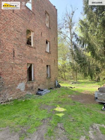 Działka budowlana Różańsko. Zdjęcie 4