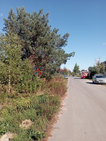 Działka budowlana Głosków. Zdjęcie 3