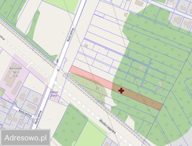 Działka rolna Łajski. Zdjęcie 1