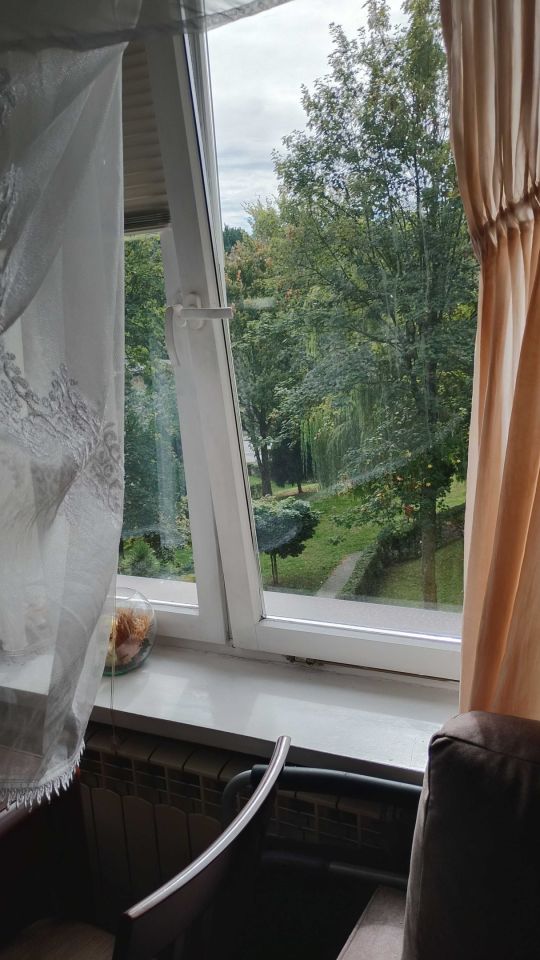 Zdjęcie 6