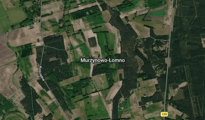 dom wolnostojący, 4 pokoje Murzynowo-Łomno