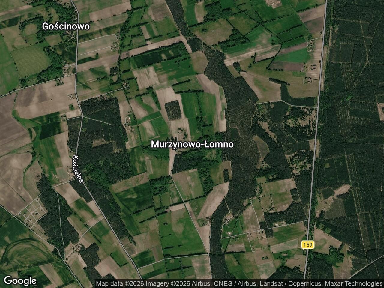 dom wolnostojący, 4 pokoje Murzynowo-Łomno. Zdjęcie 1
