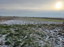 Działka rolno-budowlana Jenkowice. Zdjęcie 4