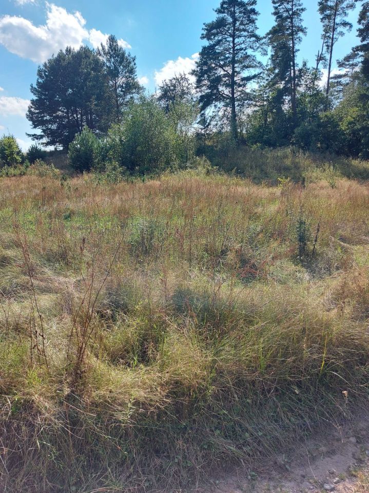 Działka siedliskowa Chraboły. Zdjęcie 4