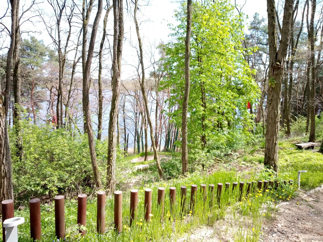 Działka budowlana Serock, ul. Czesława Miłosza. Zdjęcie 3