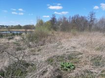 Działka rolno-budowlana Przęsławice. Zdjęcie 3