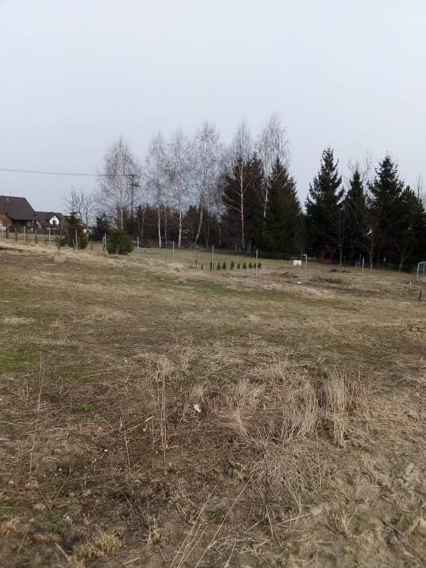 Działka Sieciechowice. Zdjęcie 4