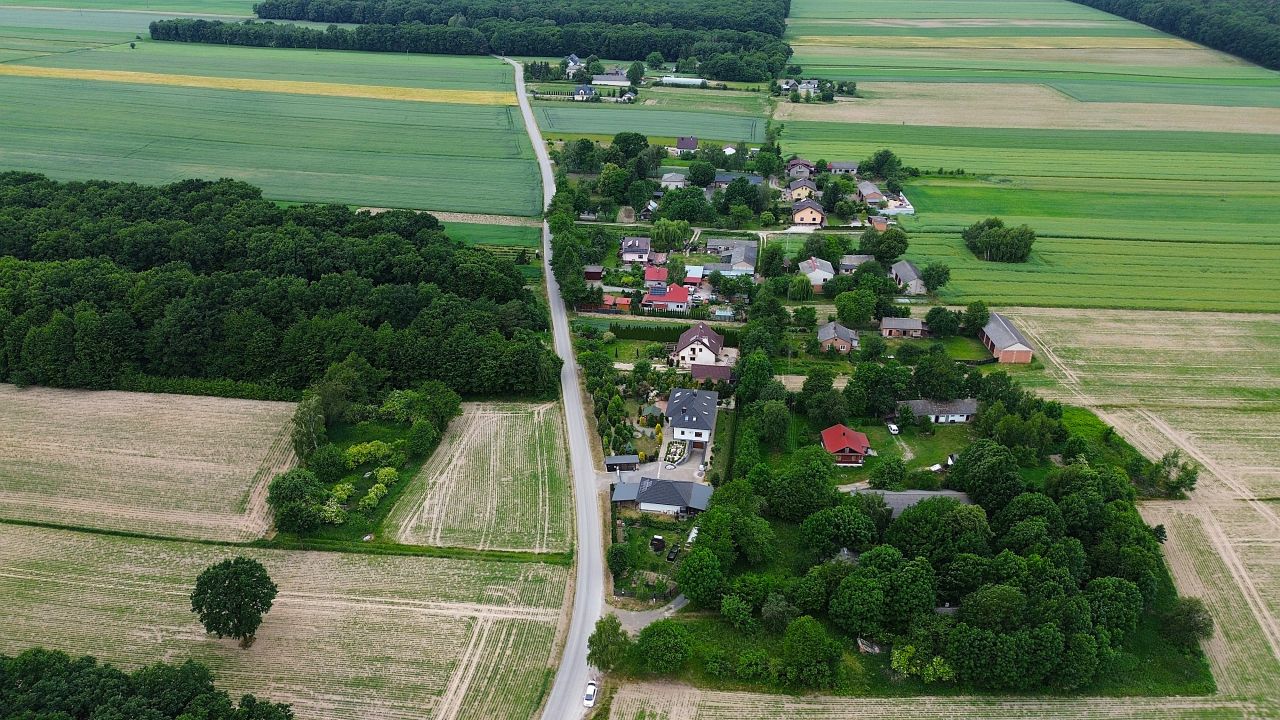 Działka siedliskowa Łęczyca. Zdjęcie 4