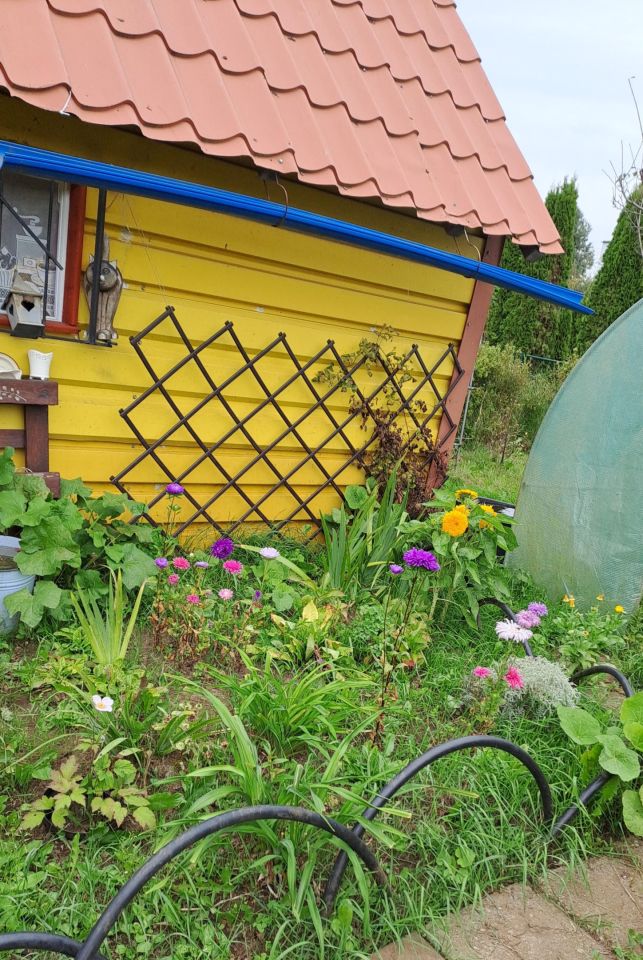 Działka rekreacyjna Gdynia Orłowo, ul. Żmudzka