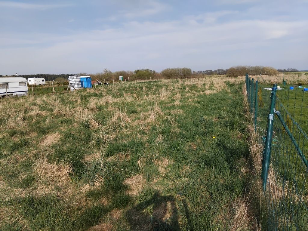 Działka rekreacyjna Karwieńskie Błoto Drugie. Zdjęcie 3