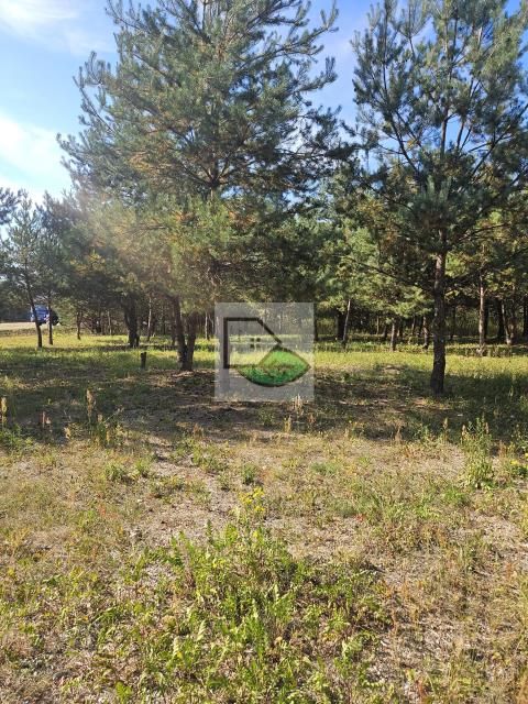 Działka budowlana Uwieliny. Zdjęcie 2