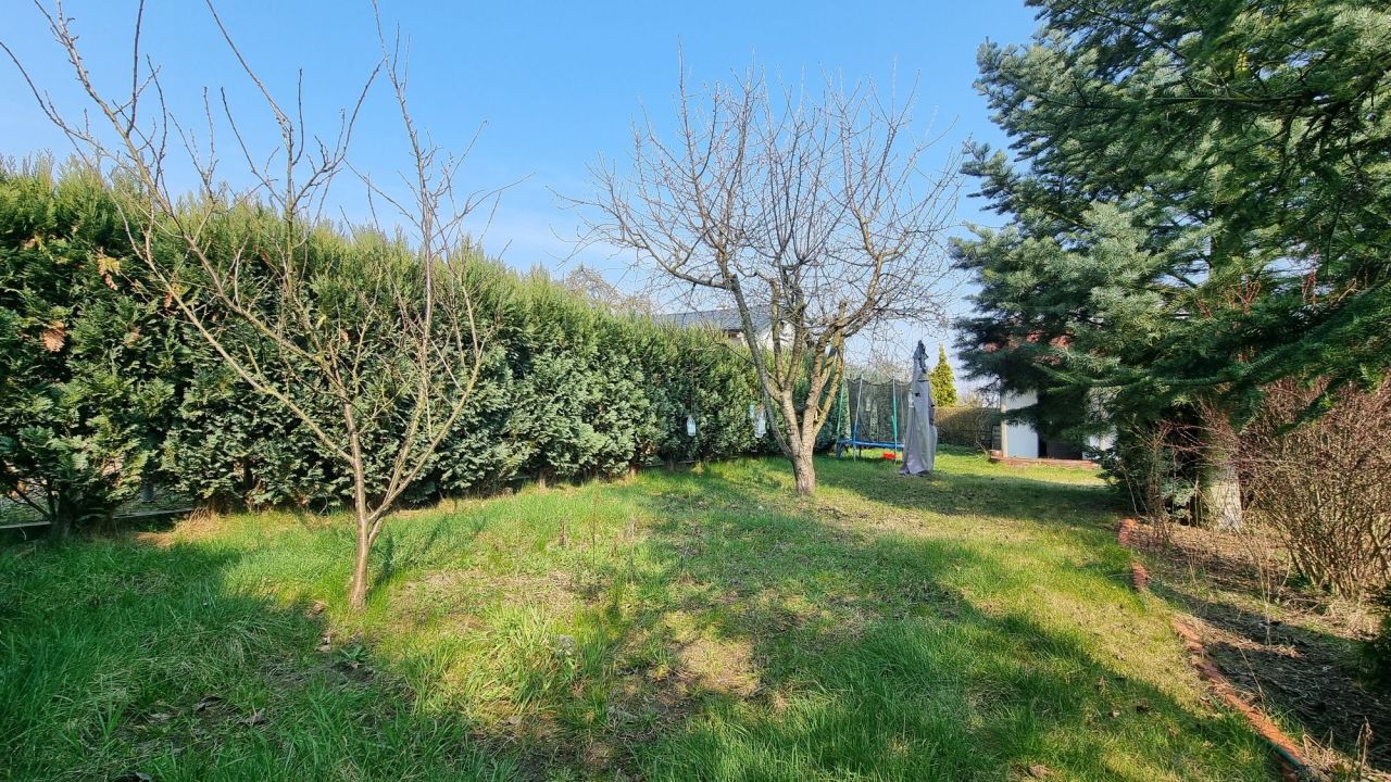 Działka rod Szczecin Bukowe, ul. Południowa. Zdjęcie 3