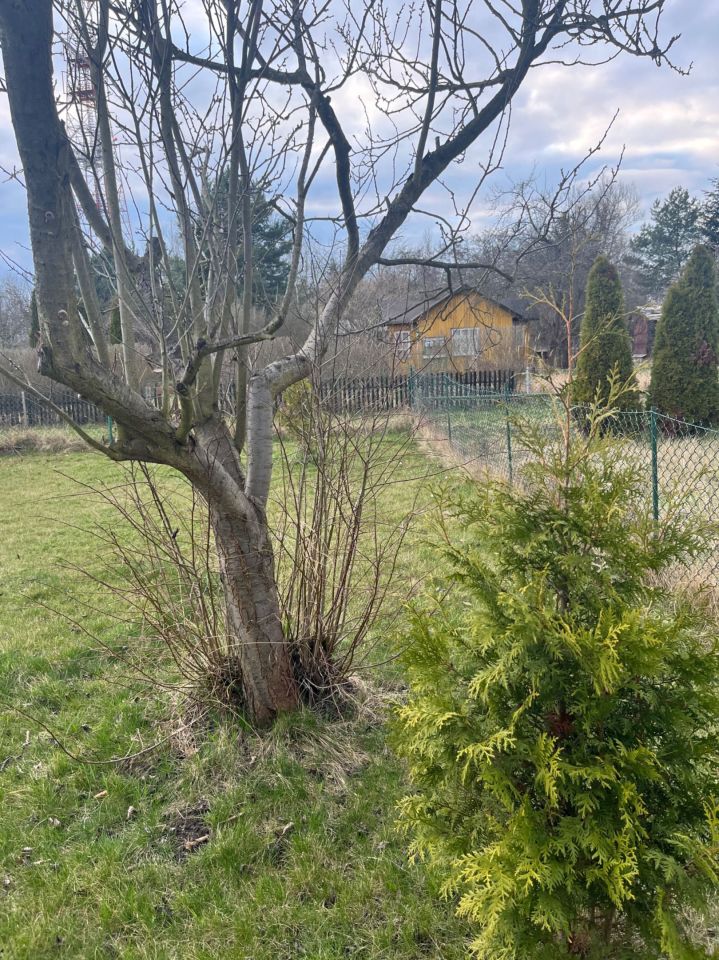 Działka rod Wrocław Jagodno. Zdjęcie 2