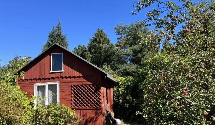 Działka rod Warszawa Wilanów, ul. Augustówka