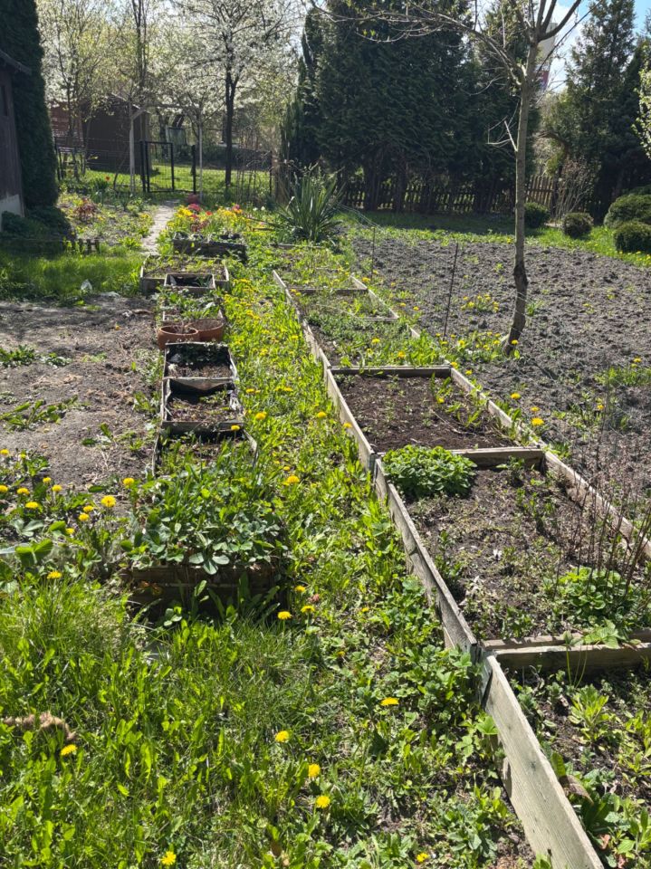 Działka rekreacyjna Lublin, ul. Mełgiewska. Zdjęcie 3