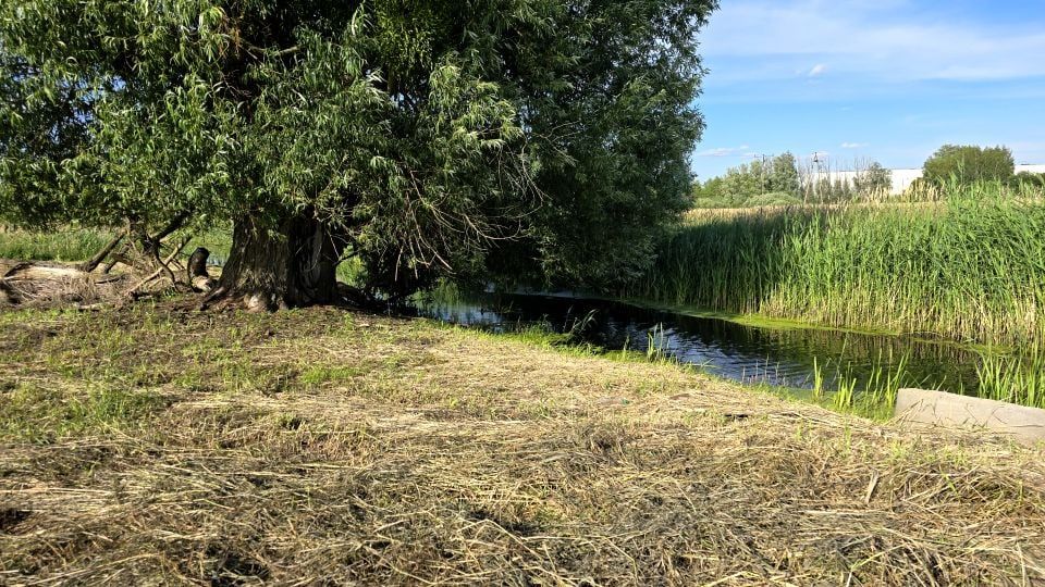 Działka rekreacyjna Iława, ul. Lipowy Dwór. Zdjęcie 4