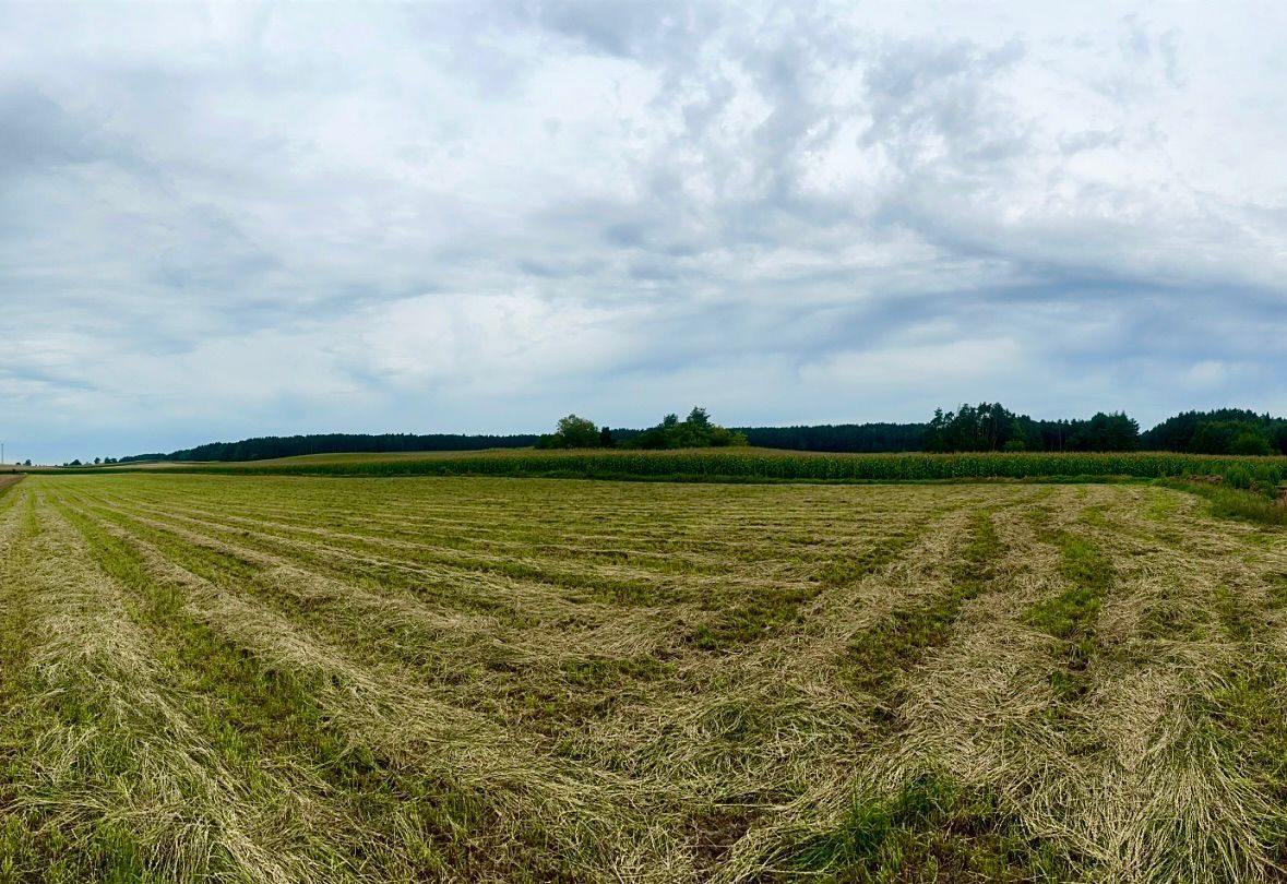 Działka budowlana Stary Gromadzyn. Zdjęcie 3