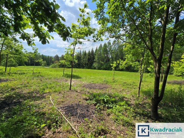 Działka inwestycyjna Turze Pole. Zdjęcie 7