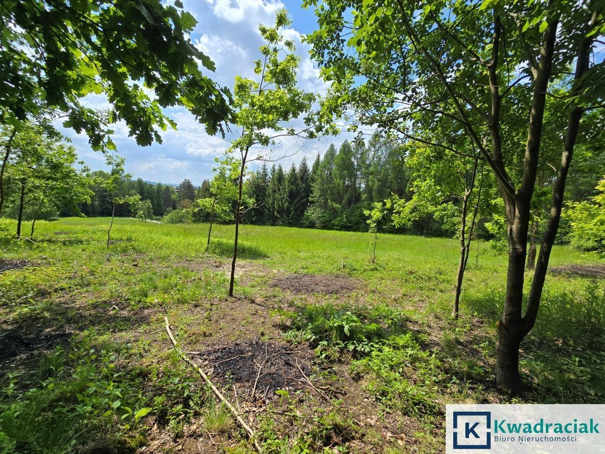 Działka inwestycyjna Turze Pole. Zdjęcie 7