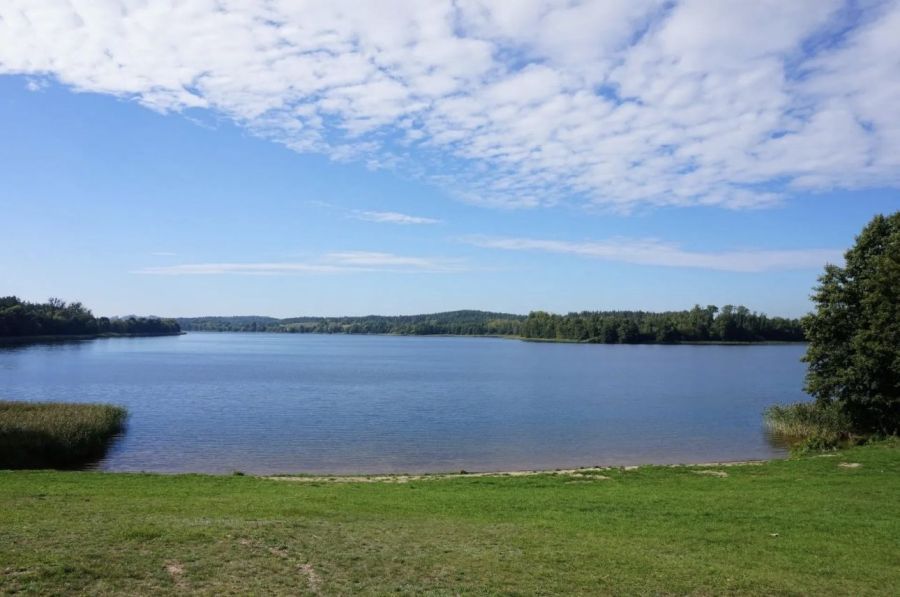Działka budowlana Trzcińsk, ul. Dębowa. Zdjęcie 3