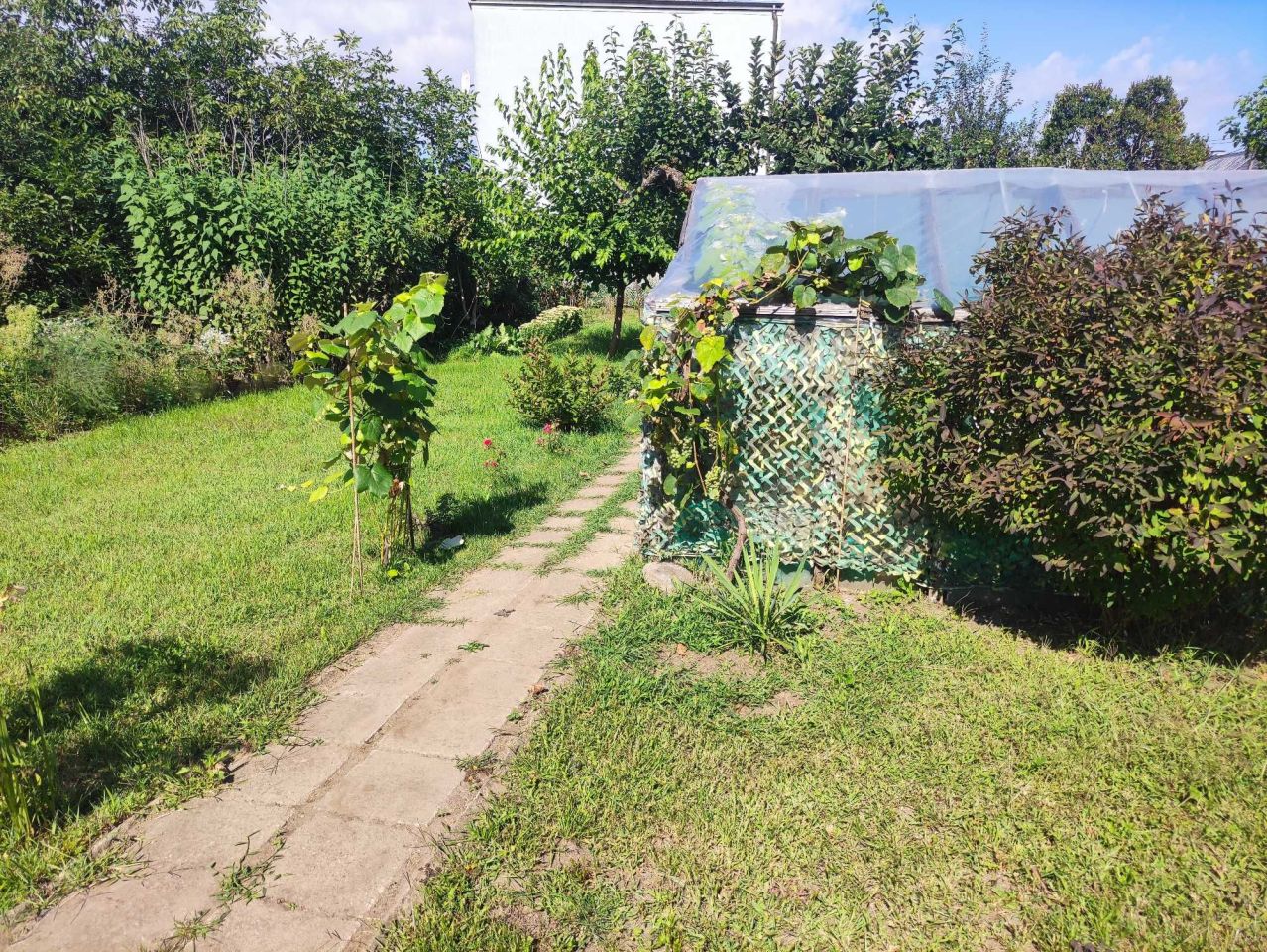 Działka rod Gorzów Wielkopolski Zakanale . Zdjęcie 7