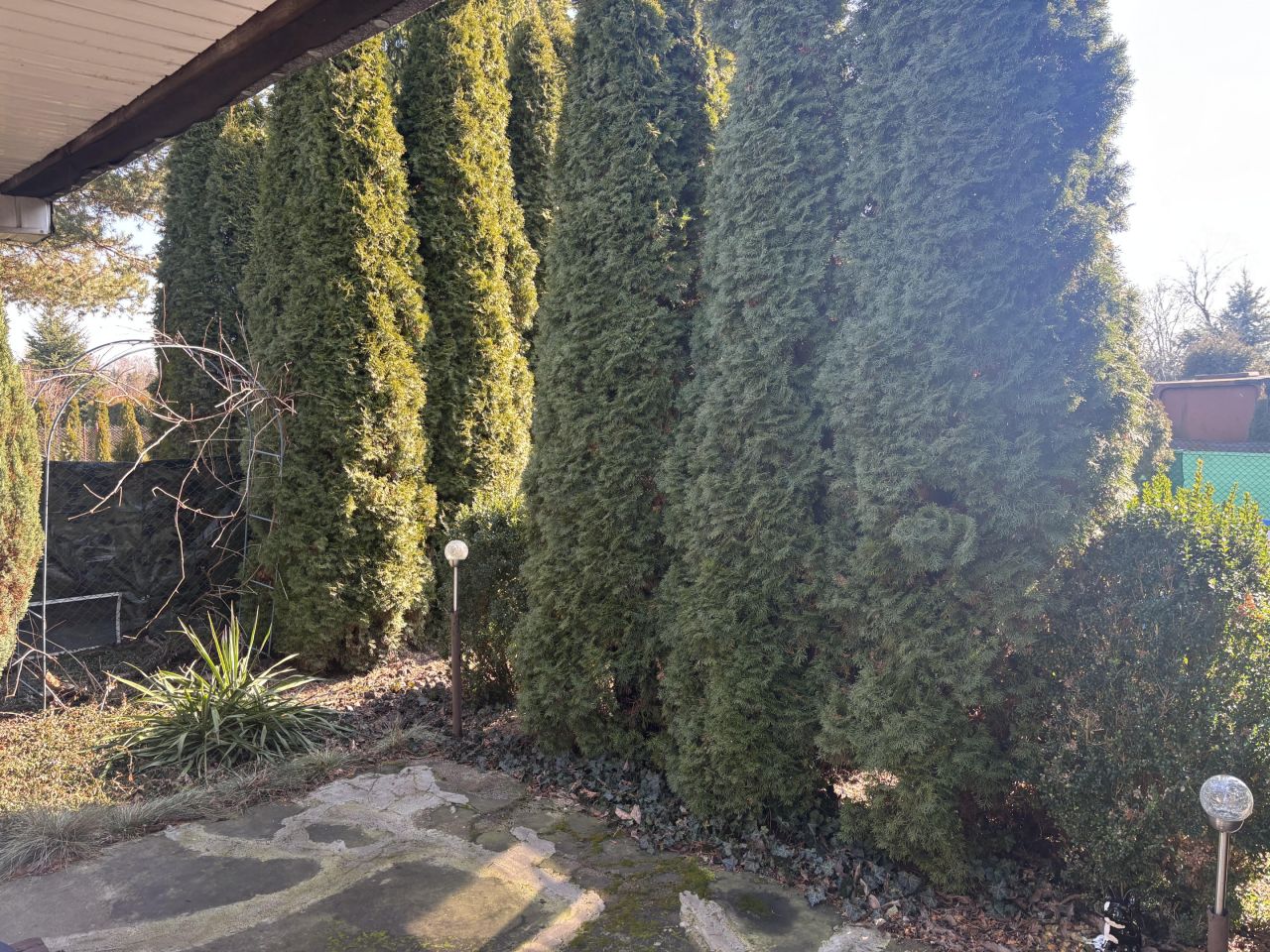 Działka rekreacyjna Sosnowiec Niwka, ul. Juliana Tuwima. Zdjęcie 14