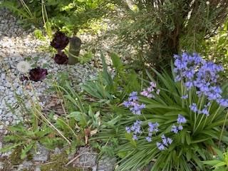 dom wolnostojący, 4 pokoje Bielsko-Biała Lipnik, Władysława Kiernika. Zdjęcie 138