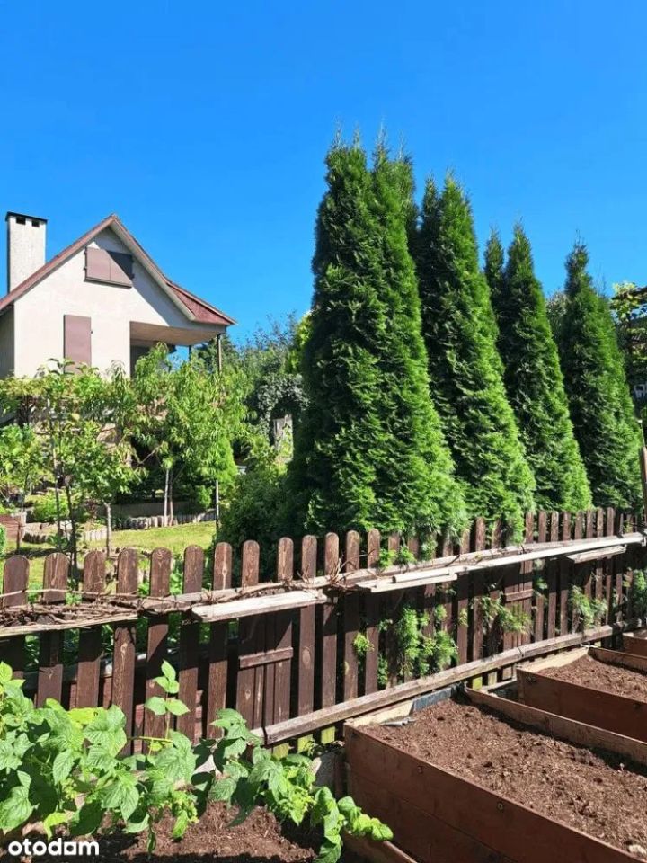 Działka rod Gdańsk Morena, ul. Wołkowyska. Zdjęcie 8