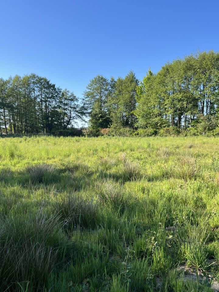 Działka rolno-budowlana Strzeżenice. Zdjęcie 3