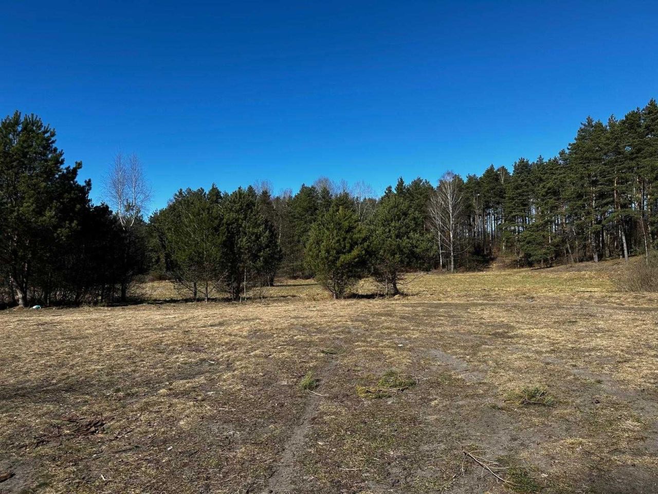 Działka rekreacyjna Rogowo. Zdjęcie 2