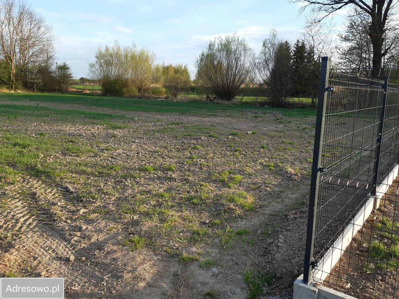 Działka rolno-budowlana Dobrocin. Zdjęcie 3