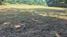 Działka rekreacyjna Świerzawa. Zdjęcie 4