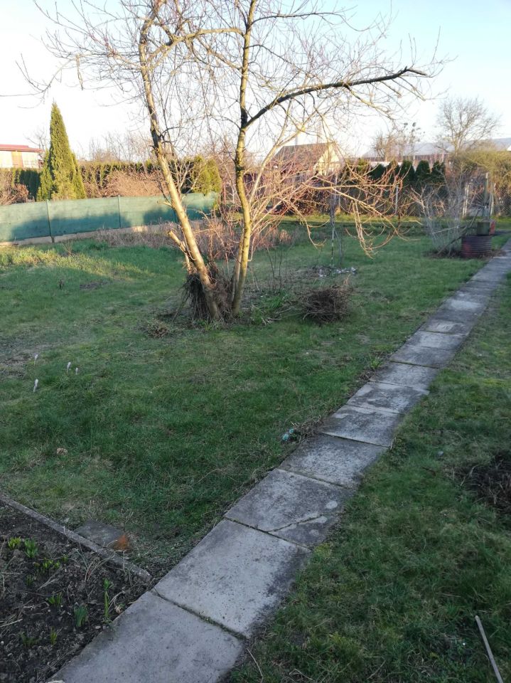 Działka rod Iława, ul. Ostródzka. Zdjęcie 7