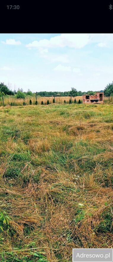 Działka budowlana Aleksandria. Zdjęcie 4