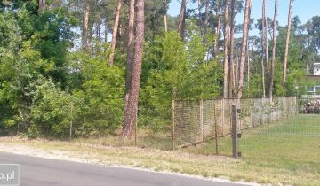 Działka leśna Boszkowo-Letnisko, ul. Boszkowska