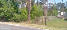 Działka leśna Boszkowo-Letnisko, ul. Boszkowska