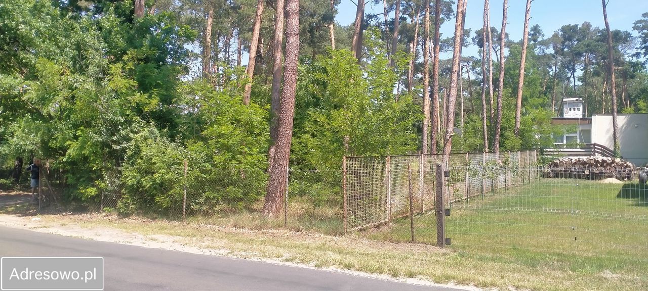 Działka leśna Boszkowo-Letnisko, ul. Boszkowska
