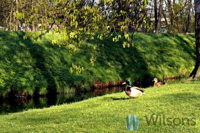 Mieszkanie 7-pokojowe Marki, ul. Wilcza. Zdjęcie 5