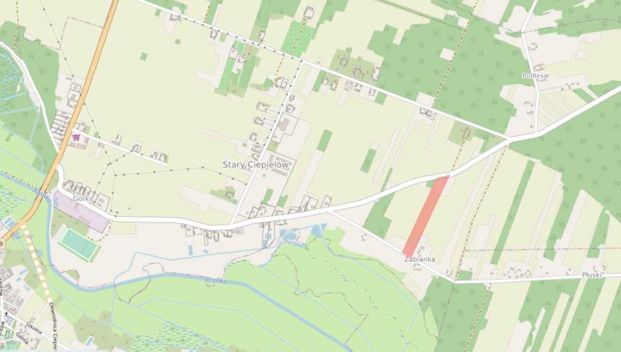 Działka rolna Stary Ciepielów. Zdjęcie 3