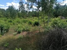 Działka budowlana Klwatka Królewska Figielów. Zdjęcie 3