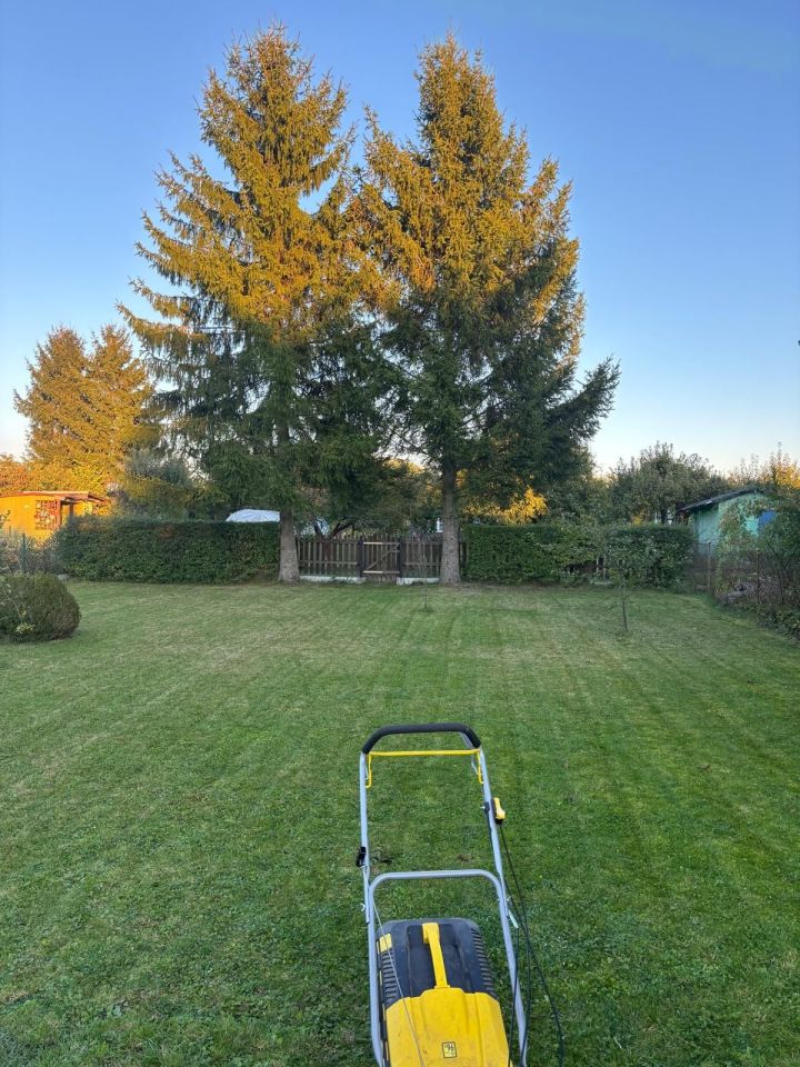 Działka rod Międzyrzecz. Zdjęcie 4