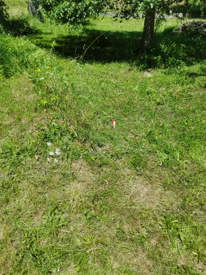 Działka rolno-budowlana Szczawnica Kunie, ul. Kunie. Zdjęcie 4