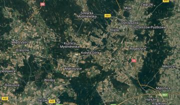 bliźniak Kobyla Góra