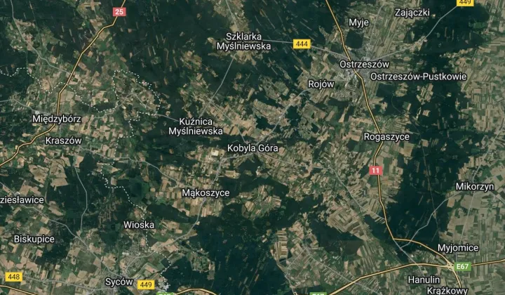 bliźniak Kobyla Góra