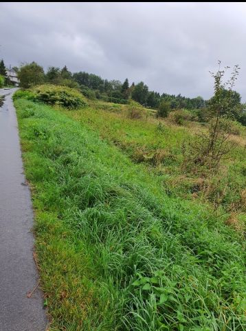 Działka budowlana Żywiec Zabłocie, ul. Łęgowa. Zdjęcie 1