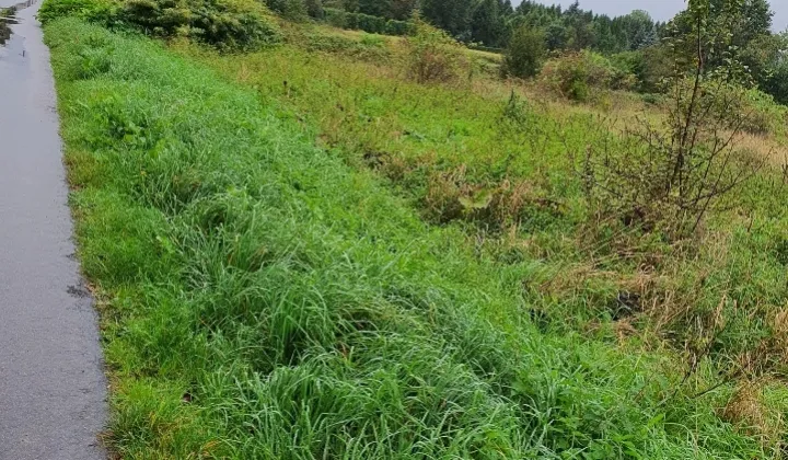 Działka budowlana Żywiec Zabłocie, ul. Łęgowa