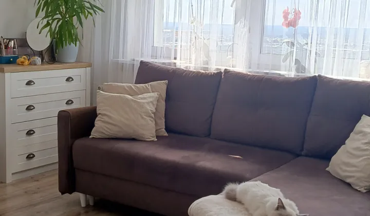 Mieszkanie 2-pokojowe Łódź Polesie, ul. Janusza Kusocińskiego